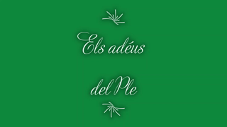 30-05-2023 Els adéus del Ple.mp4