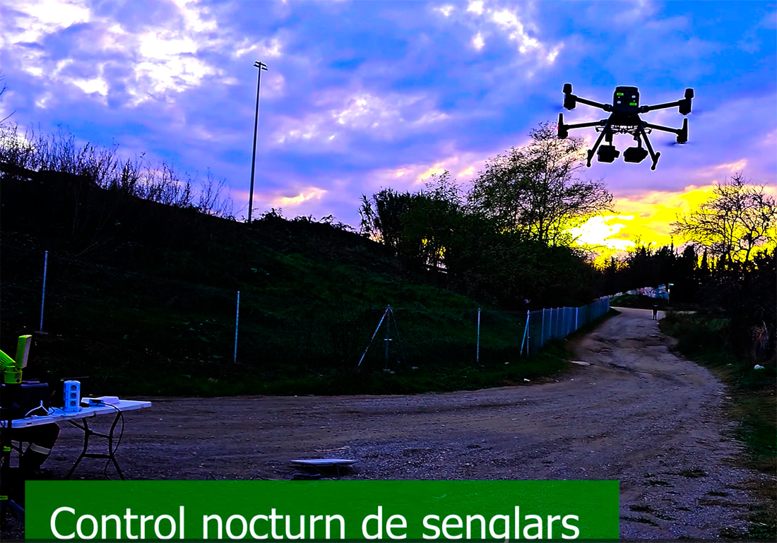 04-12-2025 Control nocturn de porcs senglars a Collserola per part de la UME