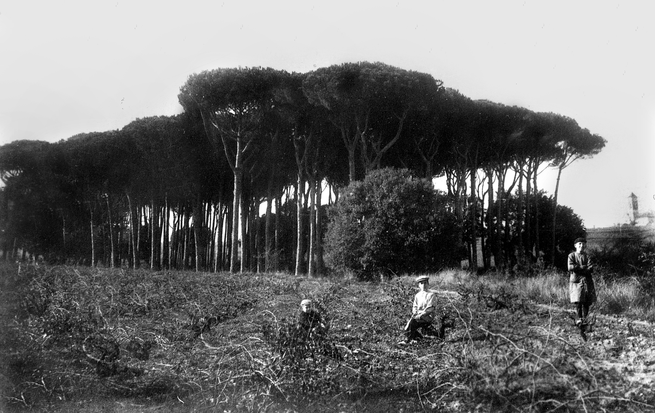 25-05-2026 Presentació llibre Les Fontetes, un oasi d'aigua amb orgull obrer